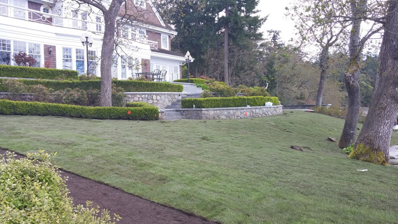 New Lawn Installations Metro Vancouver